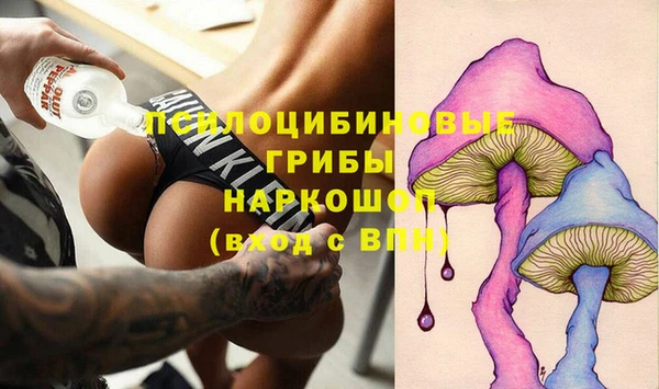 Альфа ПВП Лабытнанги