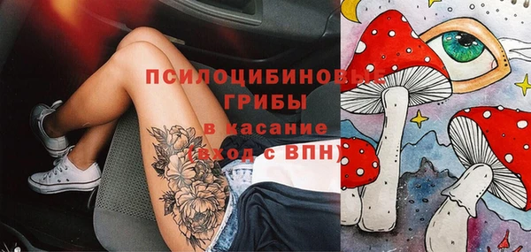 первитин Ладушкин