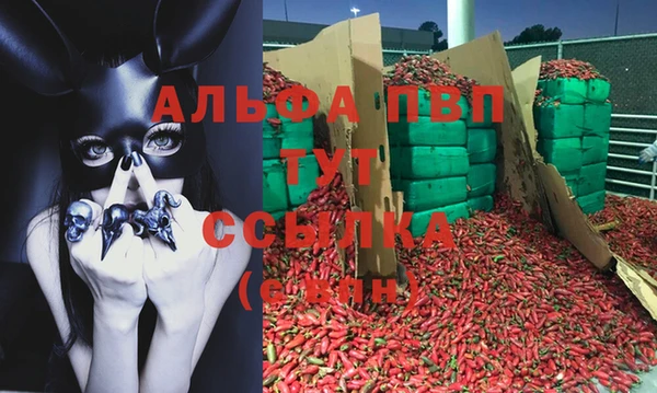 первитин Ладушкин