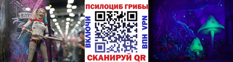 как найти наркотики  Называевск  Галлюциногенные грибы Psilocybe 